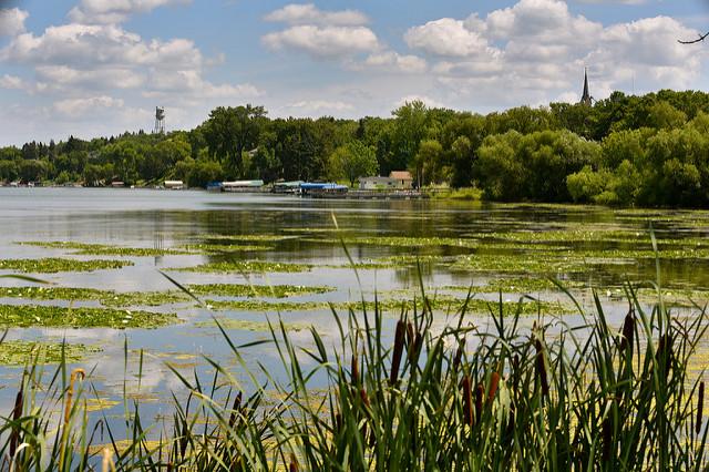 Recent data suggests that Lake Waconia—Carver County’s largest lake—is on the threshold of serious contamination from phosphorus. Photo Credit: Steve Schneider.