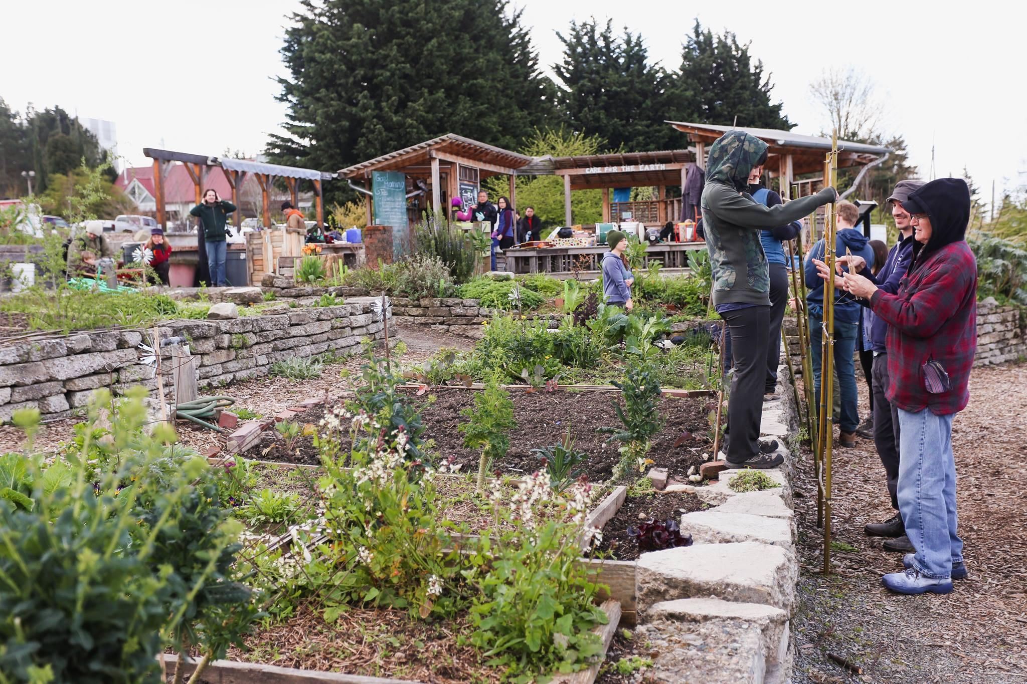 The Beacon Food Forest, located in Seattle (WA), serves as a successful model of edible landscaping in an urban environment.