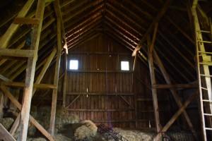 The interior of a barn on the Andrew Peterson Farmstead. Photo courtesy of Mike Greco.