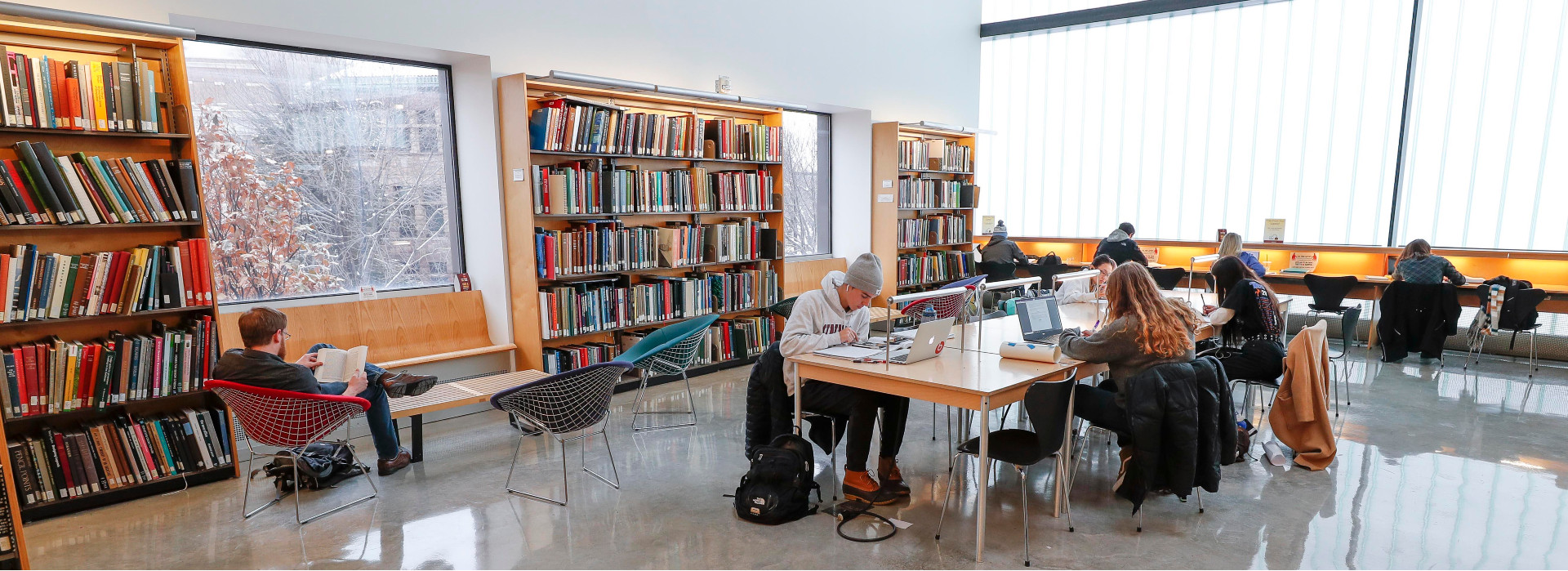 Students study in the library